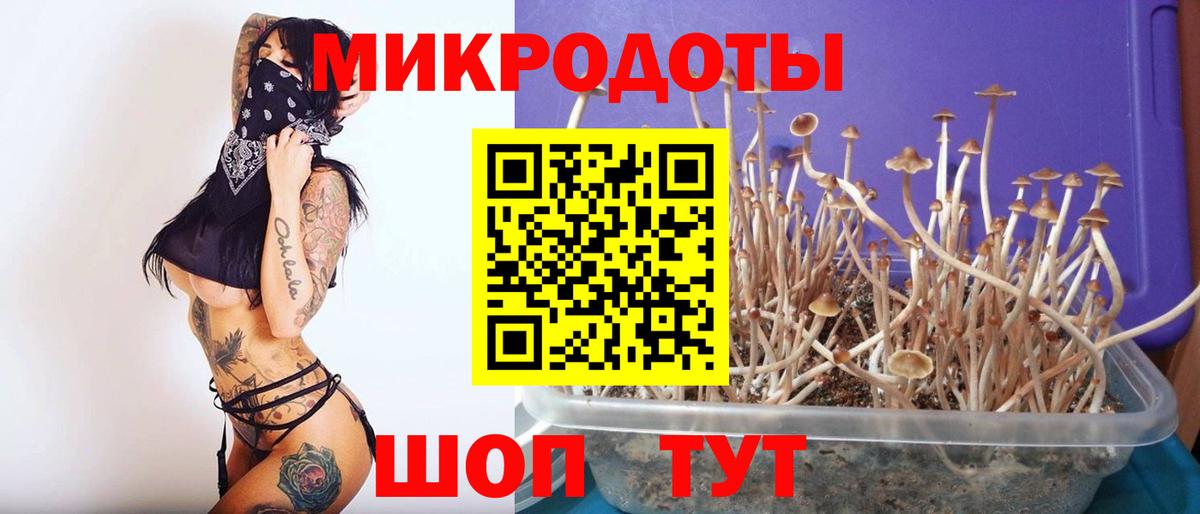 Галлюциногенные грибы Cubensis Верхняя Салда