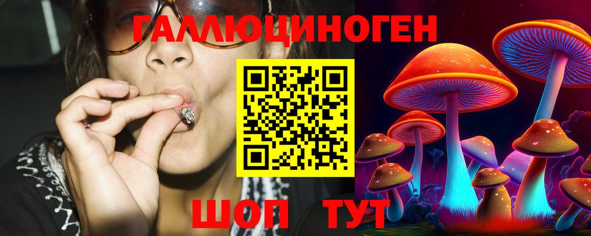 Верхняя Салда  Псилоцибиновые грибы Psilocybe  Псилоцибиновые грибы прущие грибы  Вход с VPN 